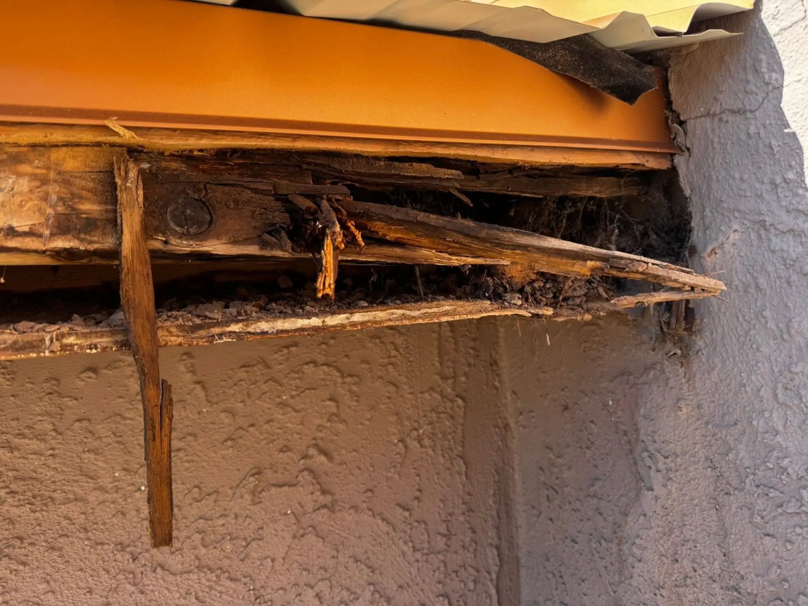Rotted fascia before repair